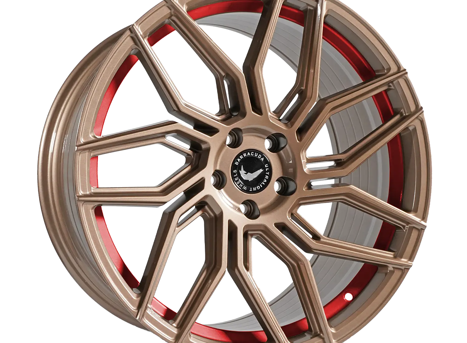 Dragoon Higloss Bronze Colour Trim 