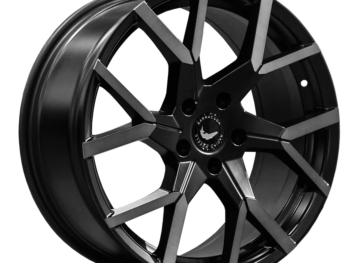 Tzunamee-Evo